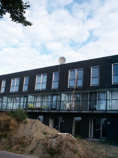 BSD augustal 1